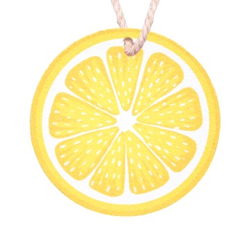 pop'sponge citron en cellulose avec cordon