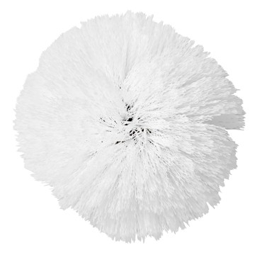 brosse souple