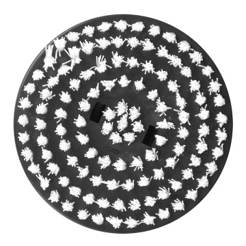 brosse poils durs